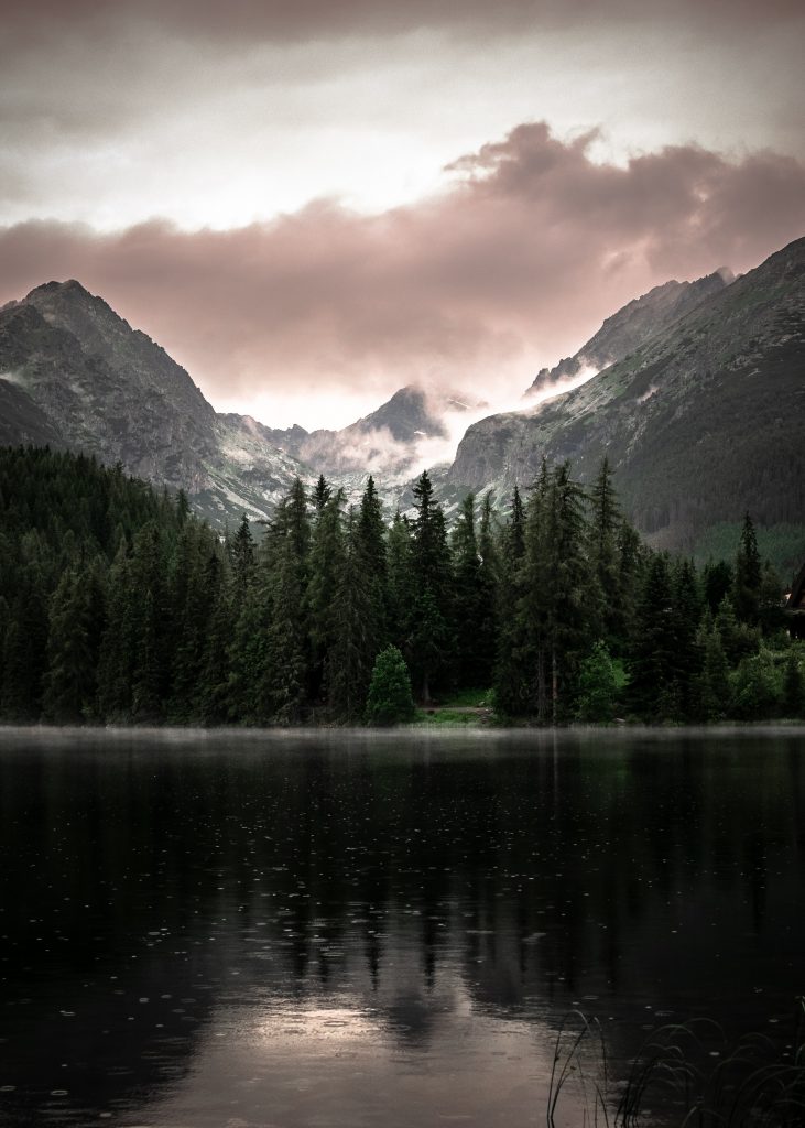 Raindrops falling on a lake overlooking a pine forest with mountaintops in the distance. Cloudy sky.