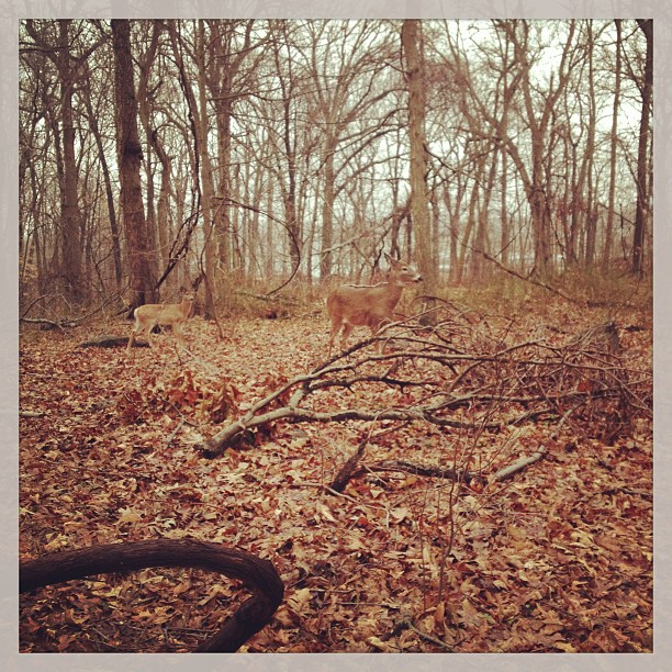 Marshlands Conservancy, Rye, NY