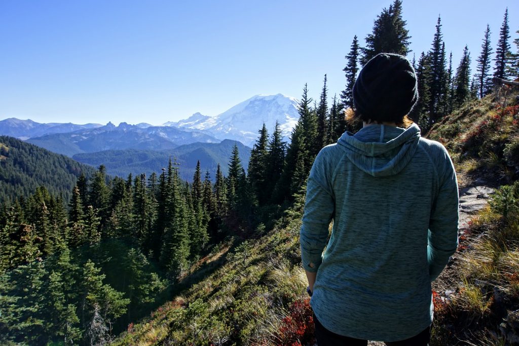 BearheadMountain MountRainierView