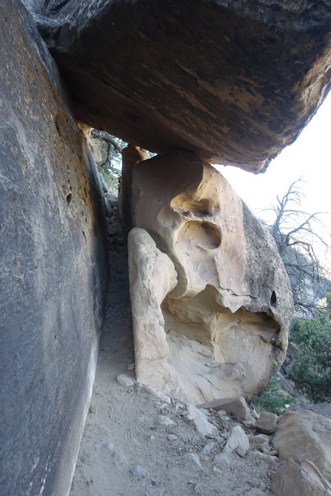 MesaVerdePetroglyphTrail