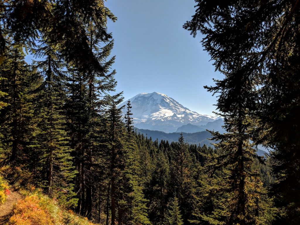 MountRainierView BearheadMountain