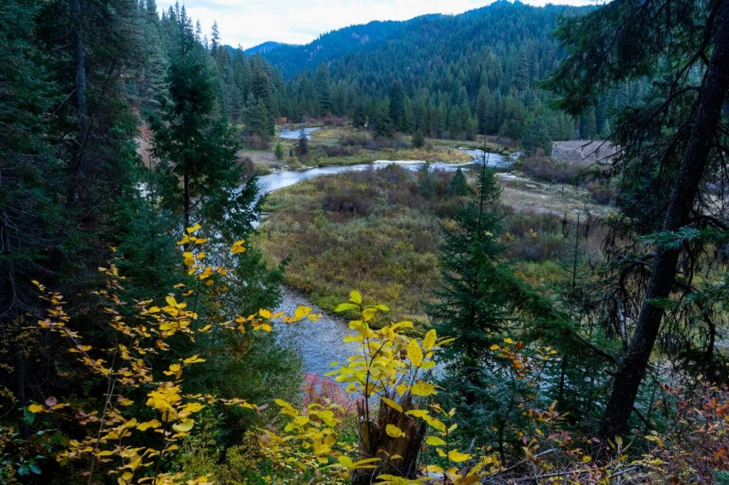 A KUHL Clothing photo of a narrow river and a clearing, pines and other trees.