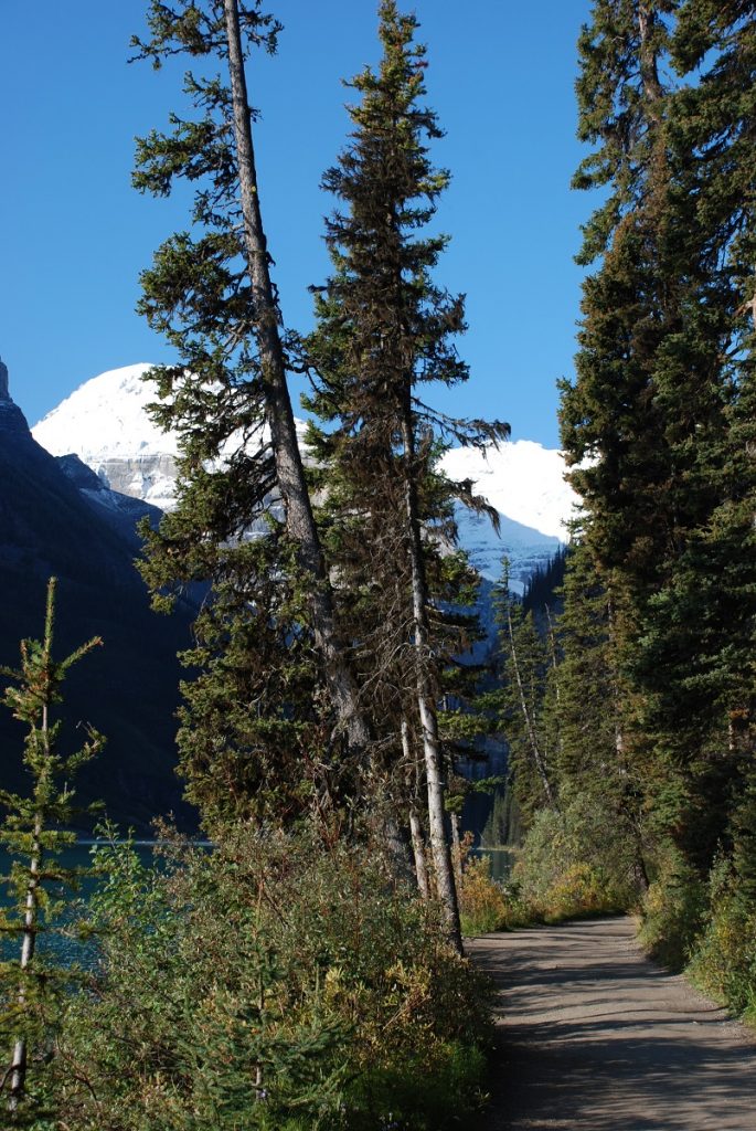 LakeLouise LakeshorePath