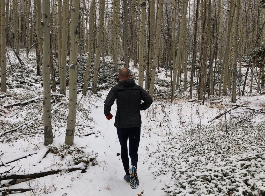 TimberlineLake Aspens