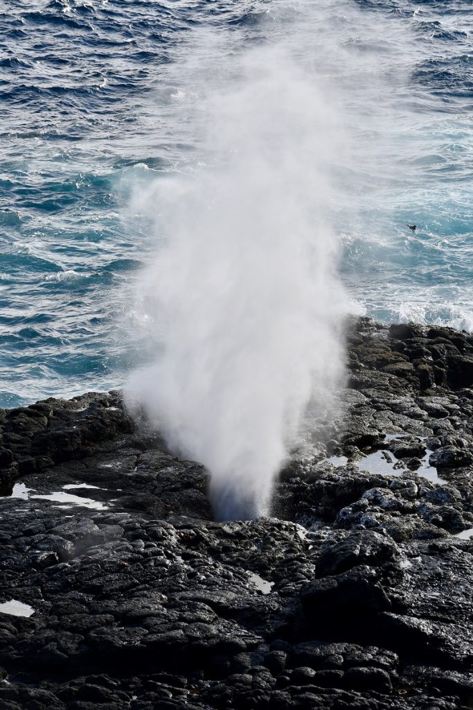 SBornstein Galapagos BlowHole EspanolaIsland