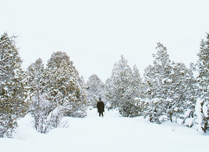 Snowshoeing All Access Winter Sport 1