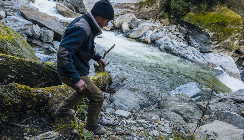 A man walking down a creek carrying firewood, dressed in KUHL Merino Wool Clothing