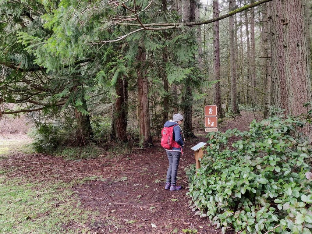 Millersylvania Stacy TrailHead