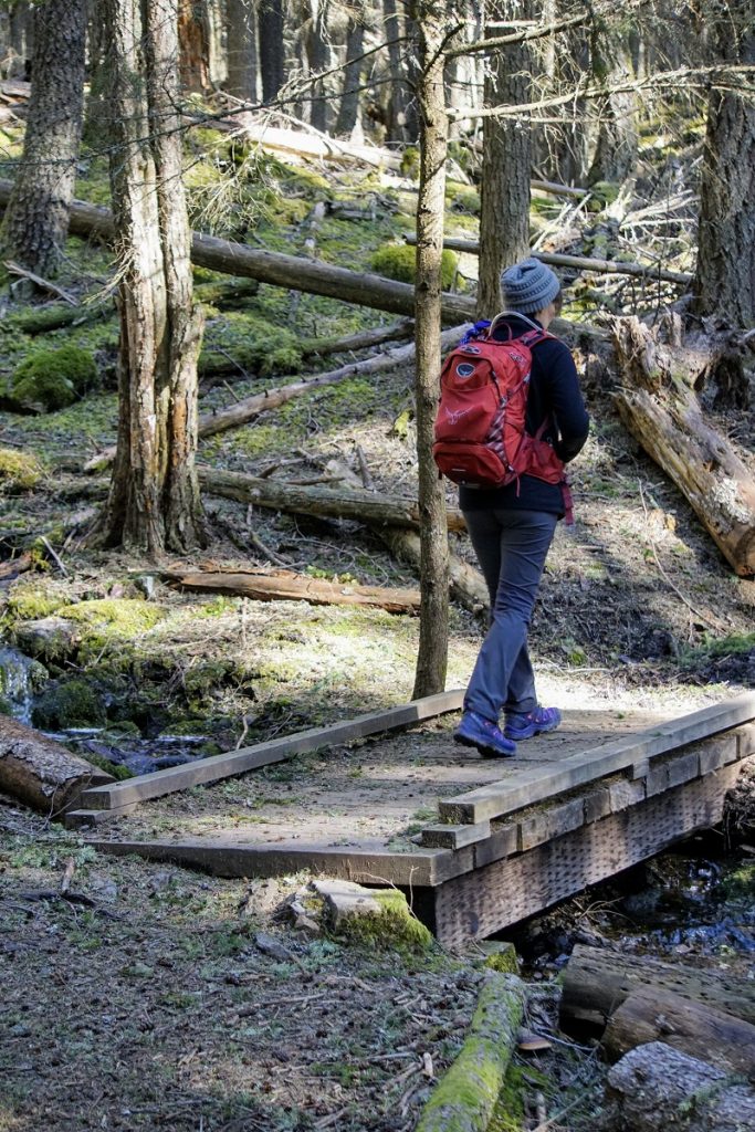 MtConstitution Trail Stacy