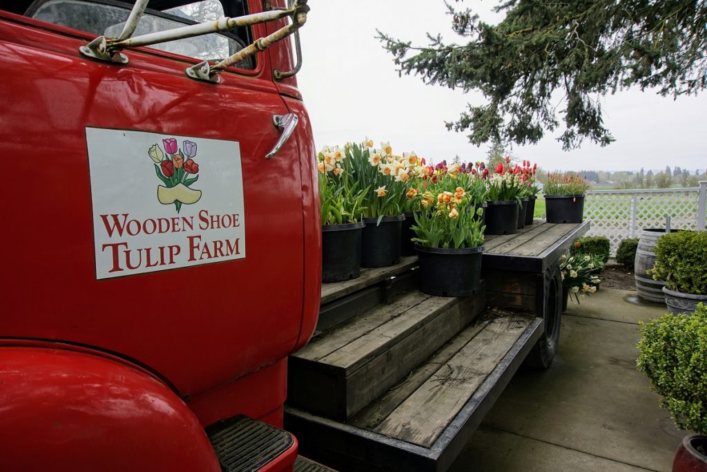 WoodenShoeTulipFestival