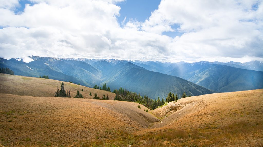 green and brown mountain during daytime