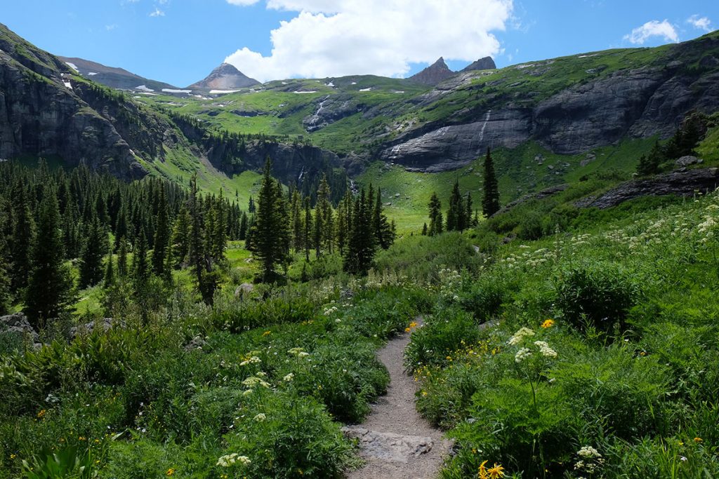 Open landscape view of green wildflowers meadow and footpath trail