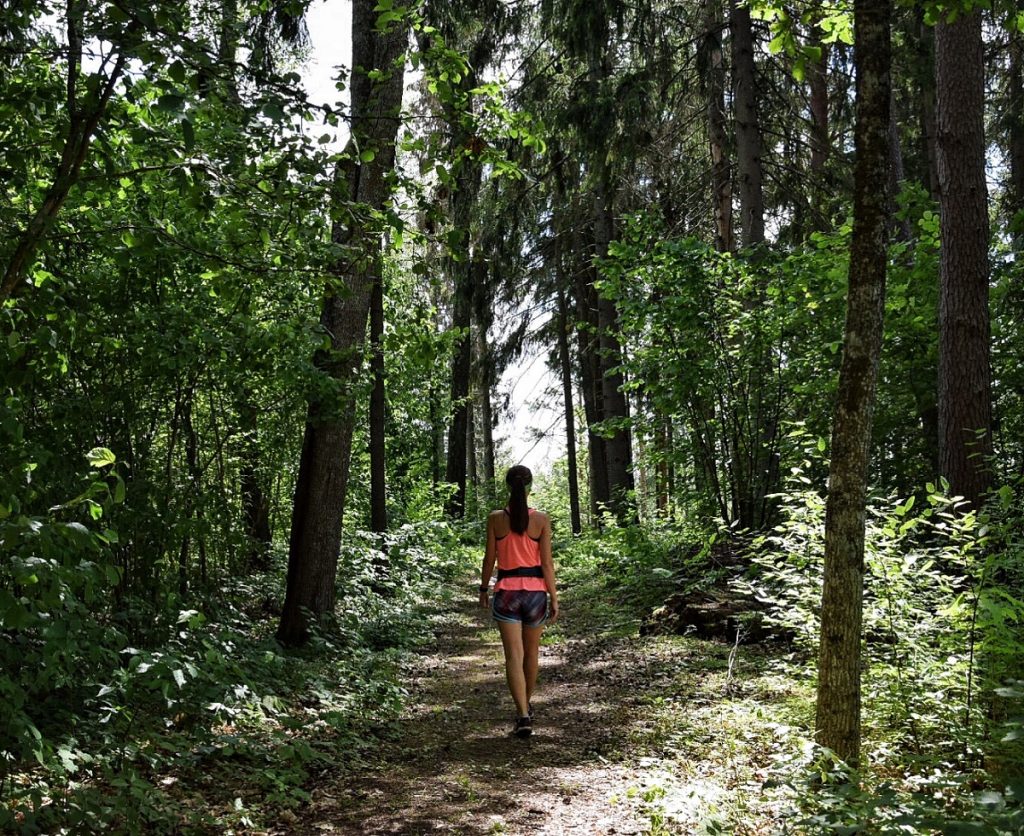 Latvia ForestTrails