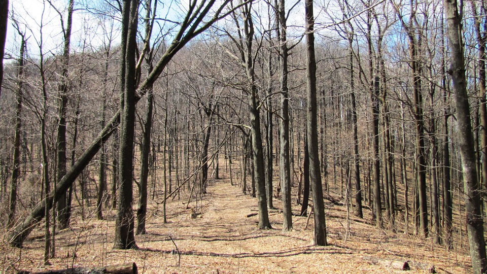 5 Great Winter Hiking Trails - Cumberland Trail