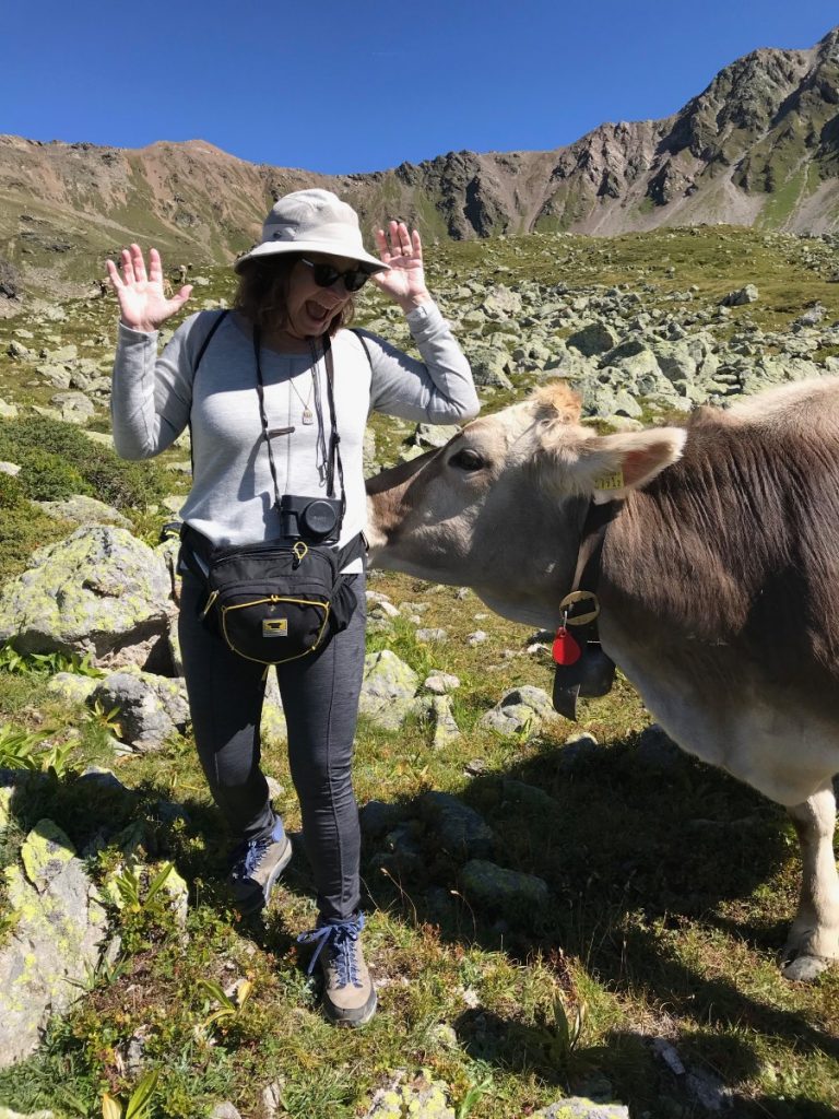 Lenzerheide Cow Sandy