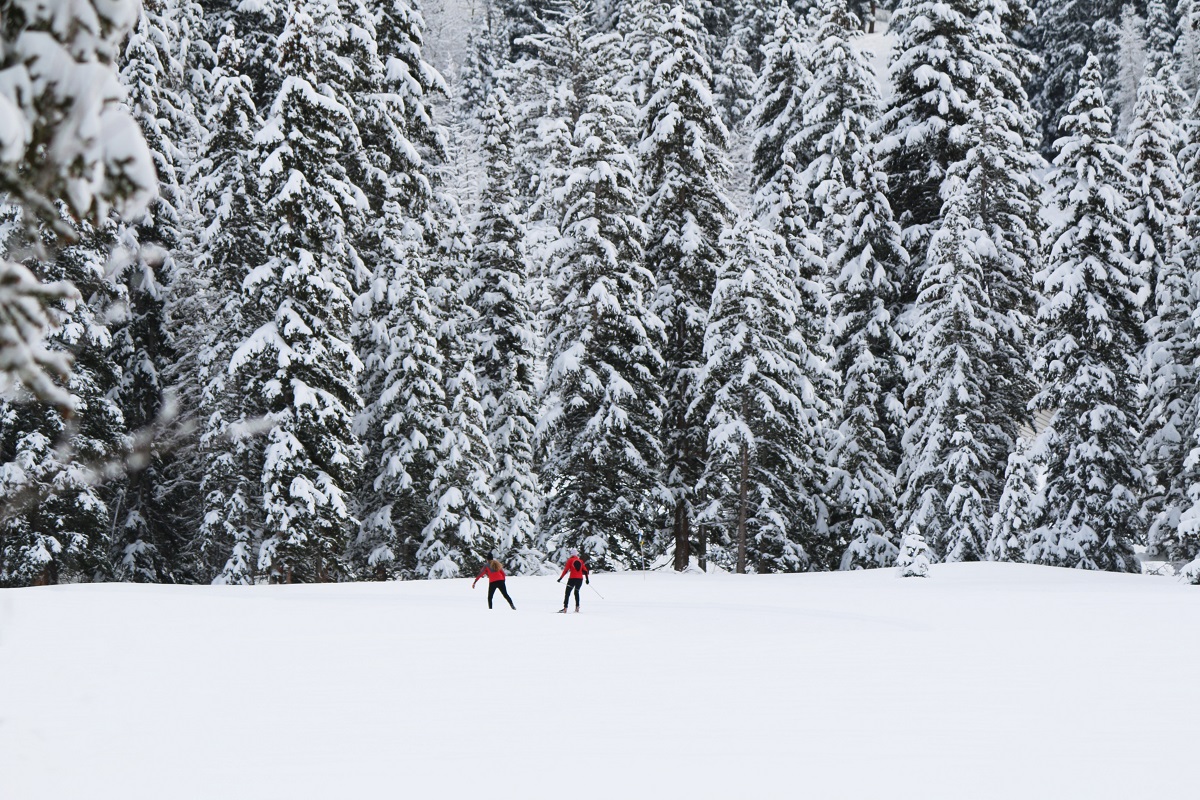 Two people standing on snow plain in front of trees