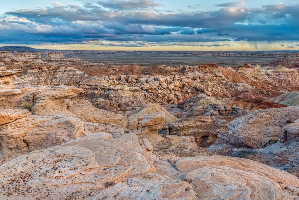 Overview of the Petrified Forest National Park