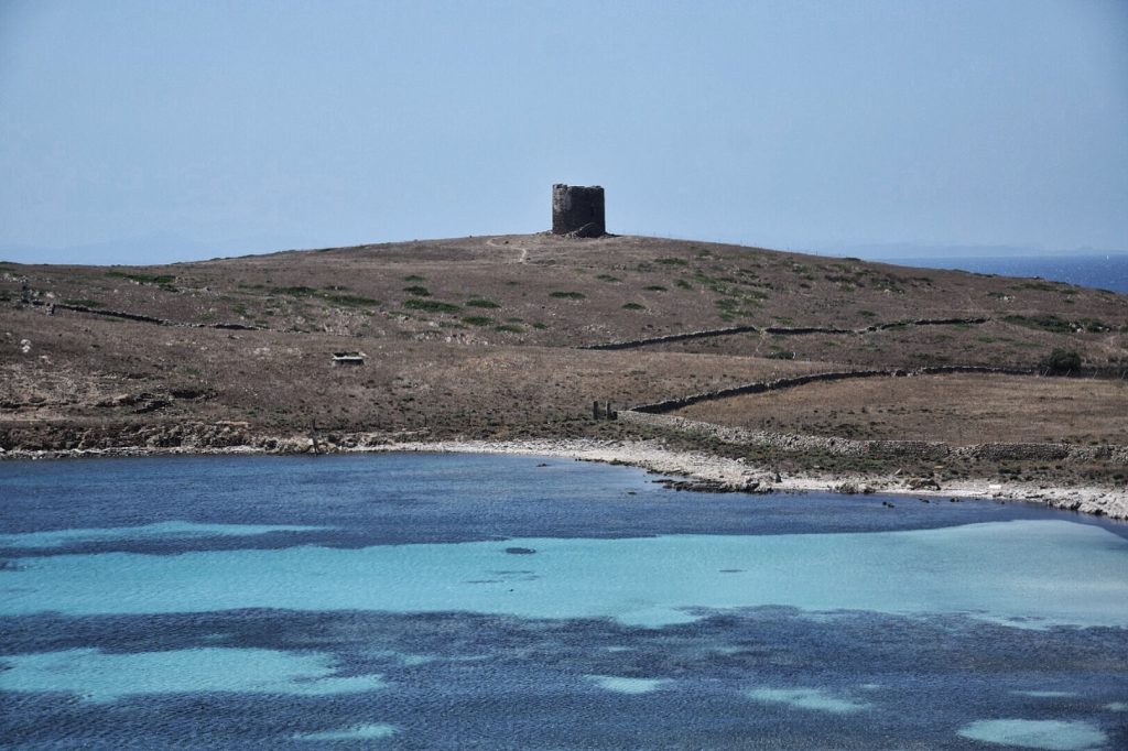 Asinara Views