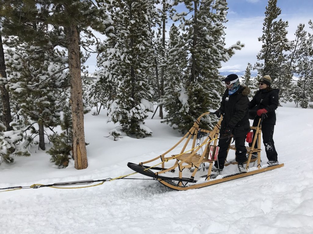 GrandCounty Dogsledding Closeup