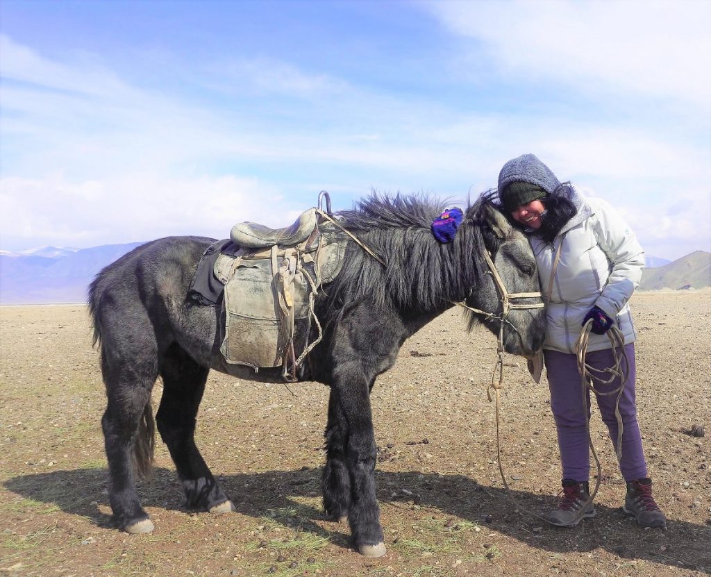 Marinel Horse