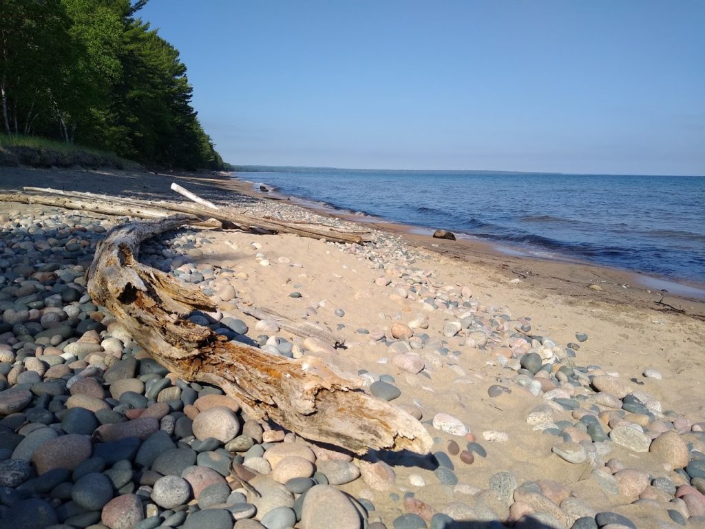 LakeSuperiorDriftwood