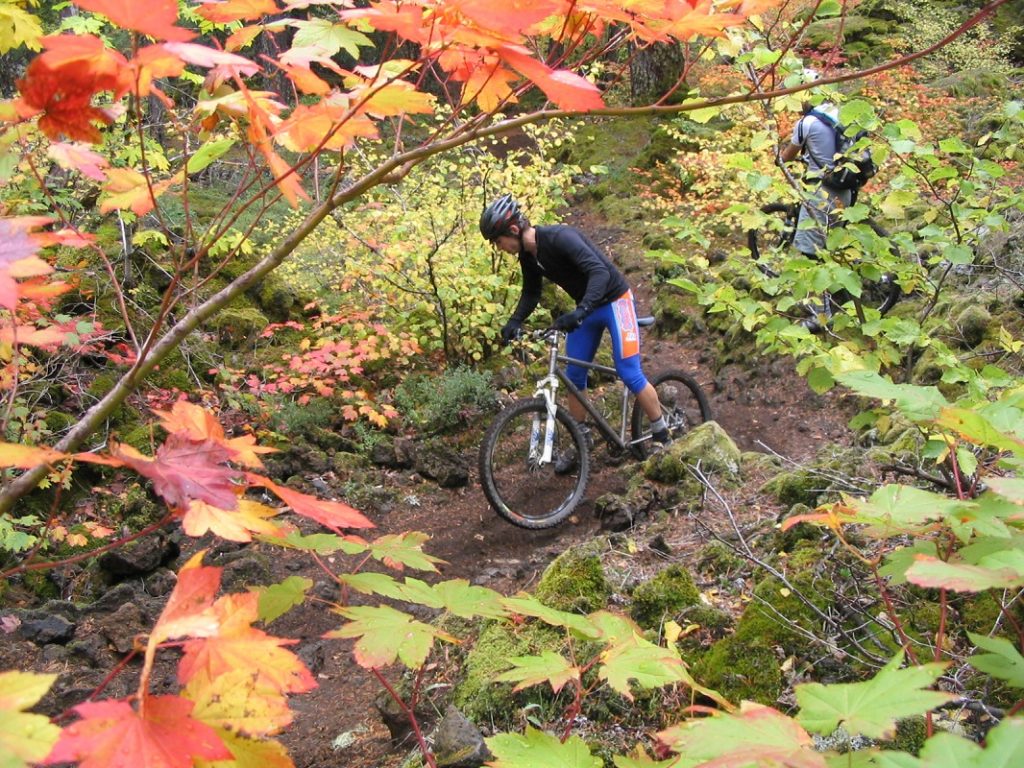 man on a mountain bike in the woods