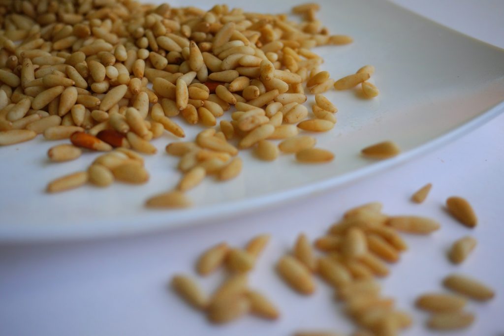 pine seeds on white ceramic plate