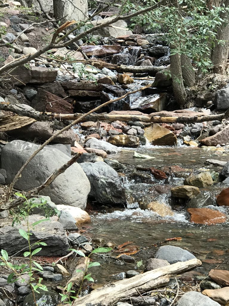 SBornsteinTellurideWiebeTrailCreek