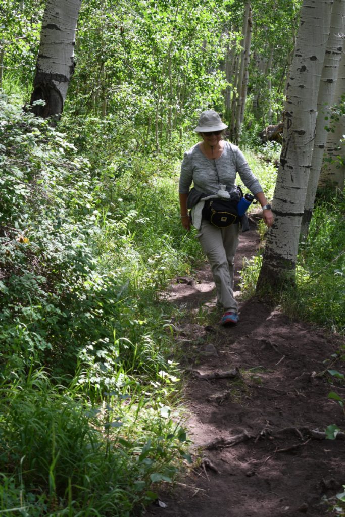 SbornsteinTellurideWiebeTrailAspens