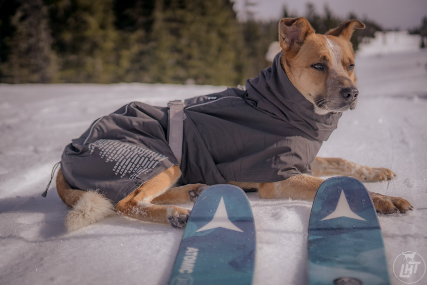 Backcountry Skiing Sitka