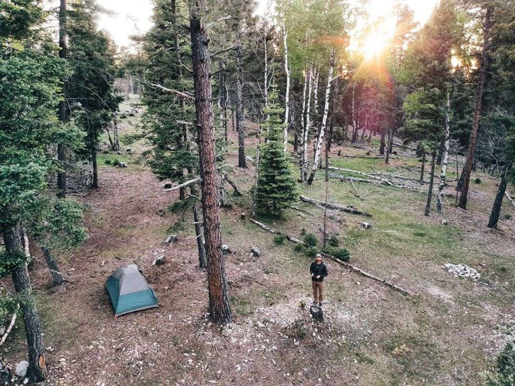 man standing on the ground in the woods