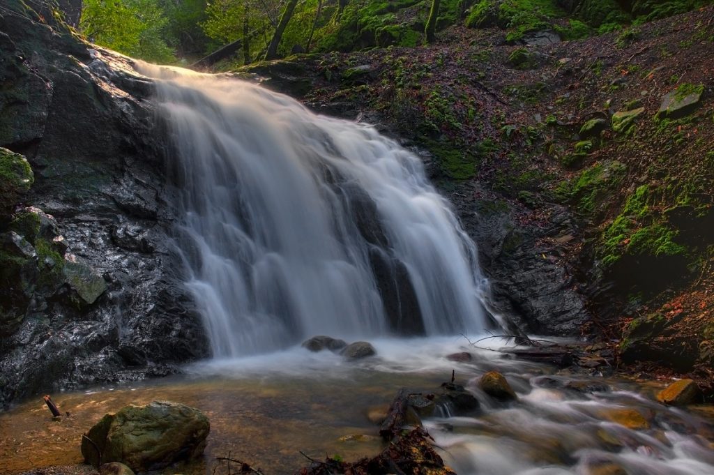 water falling from gray and green rocky surface