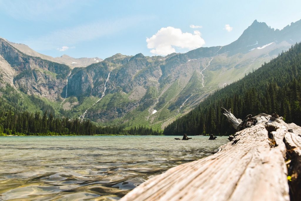 green trees covered mountain with body of water in front