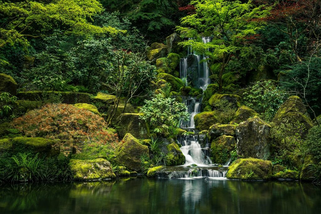 green moss on rock formation near waterfall