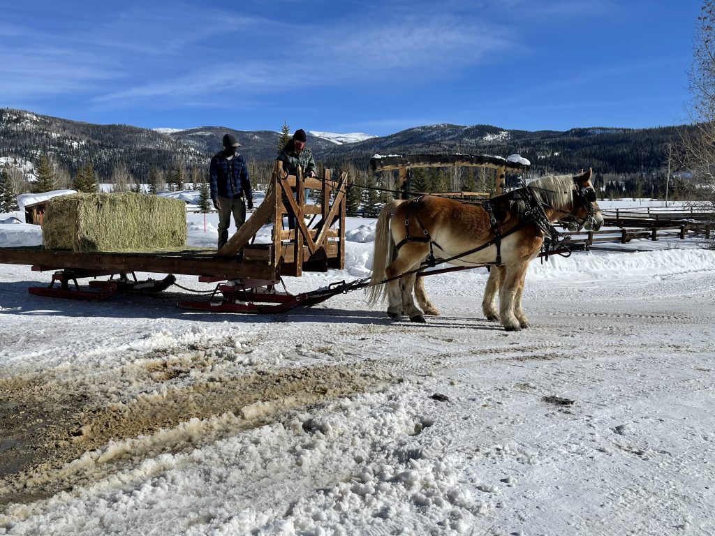 VistaVerdeRanch FeedSleigh