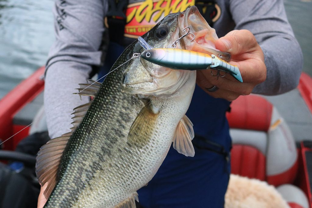 man holding silver fish with lure next to its mouth