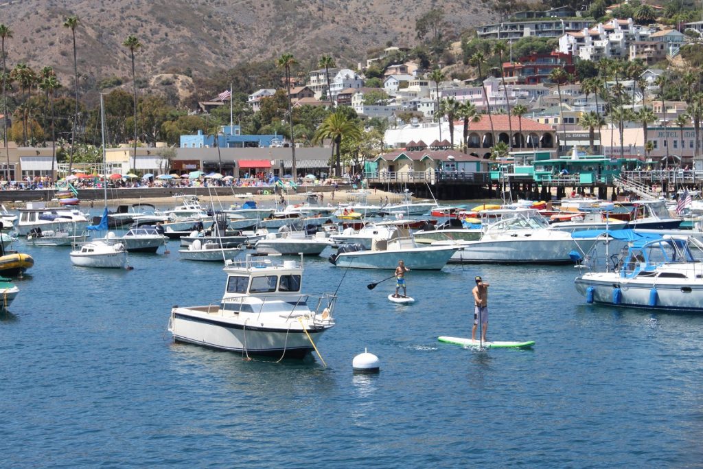 people paddleboarding between white boats on body of water