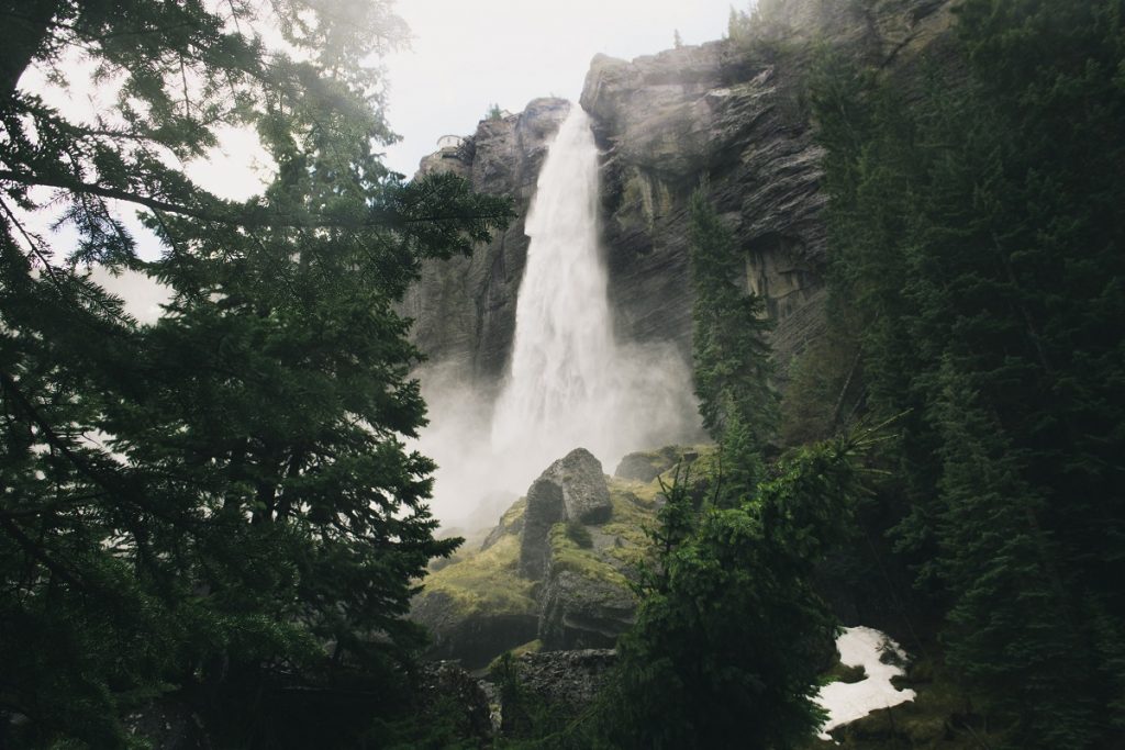 green trees beside waterfall during daytime