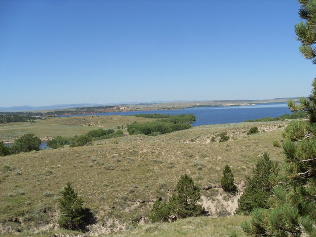 grass field with body of water in the back