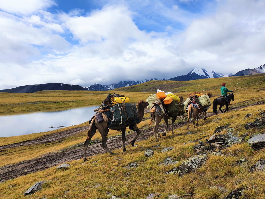 CamelCaravanMongolia