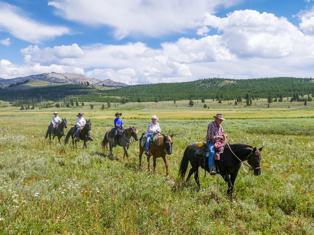 people riding horses on green field