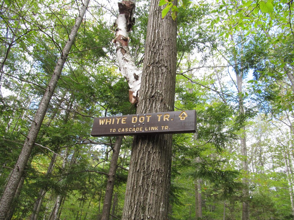 brown wooden sign on tree