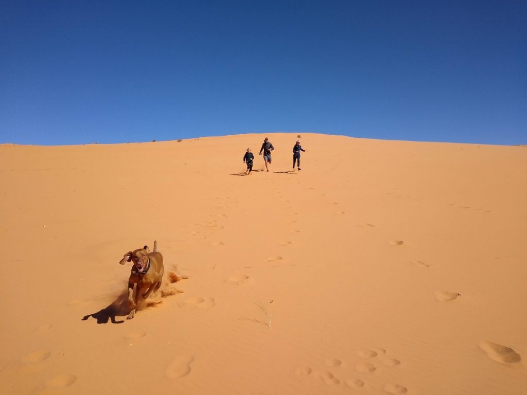 CoralPinkSandDunesStatePark