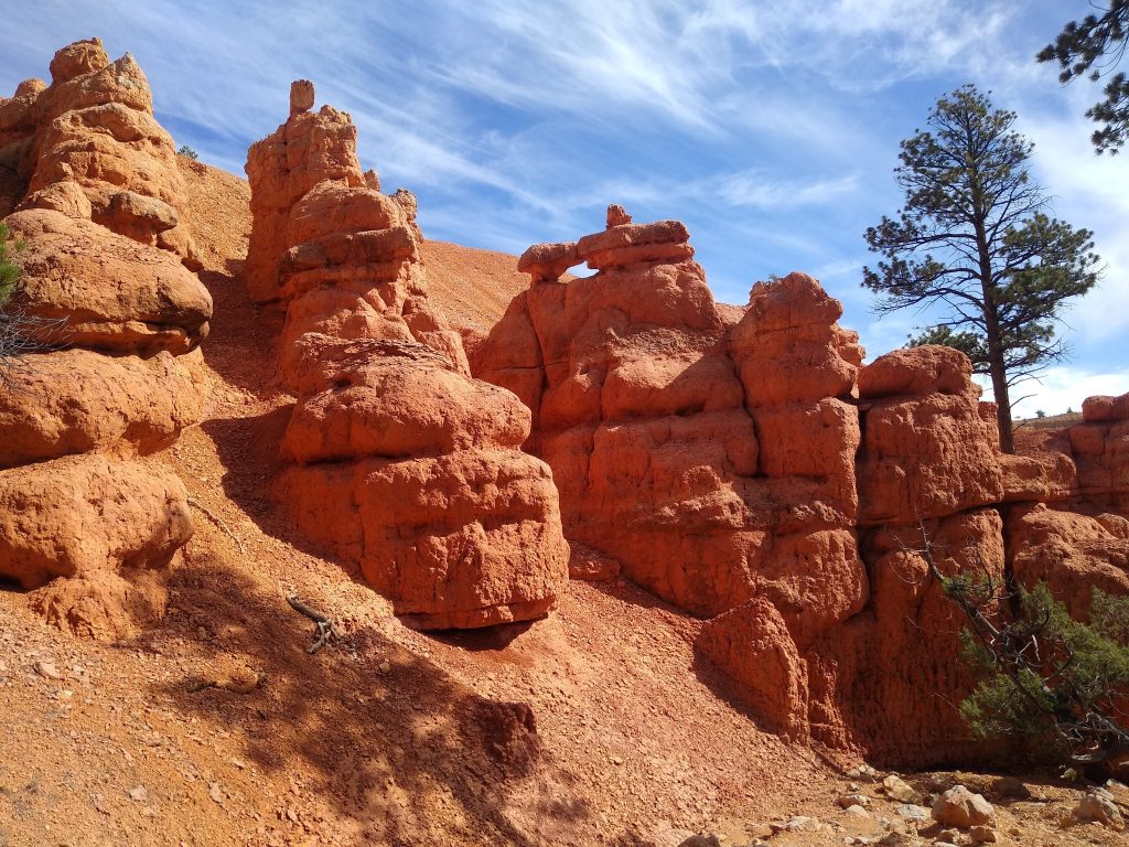 RedCanyon CassidyTrail