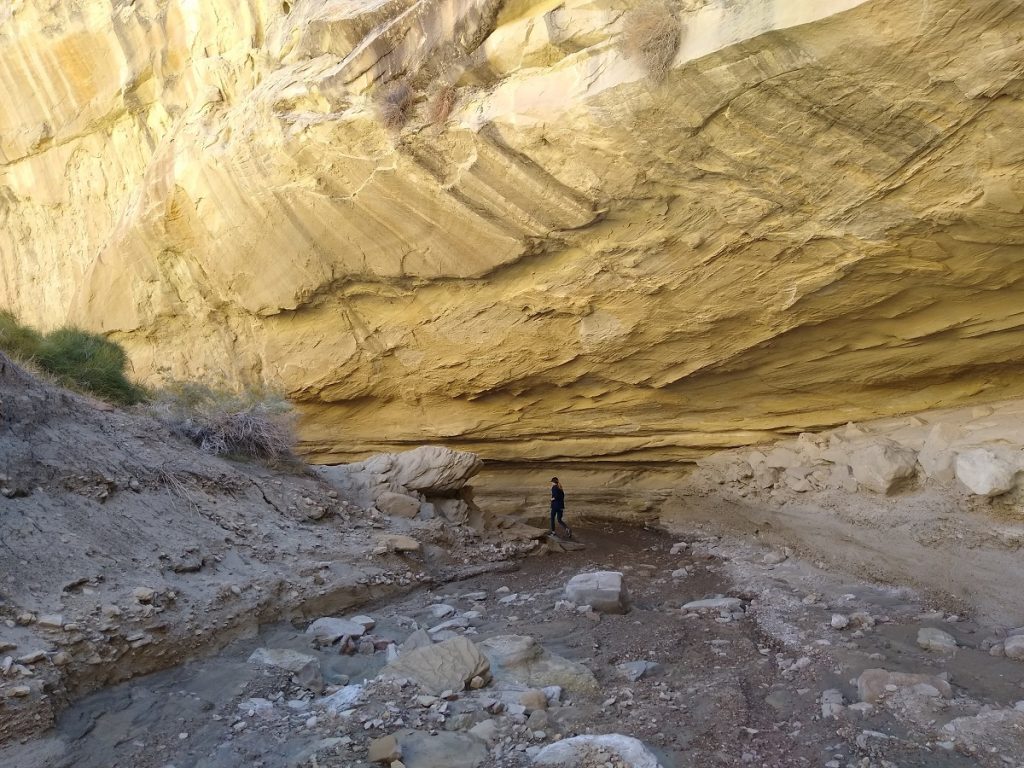 WiregrassCanyon GlenCanyonRecreationArea