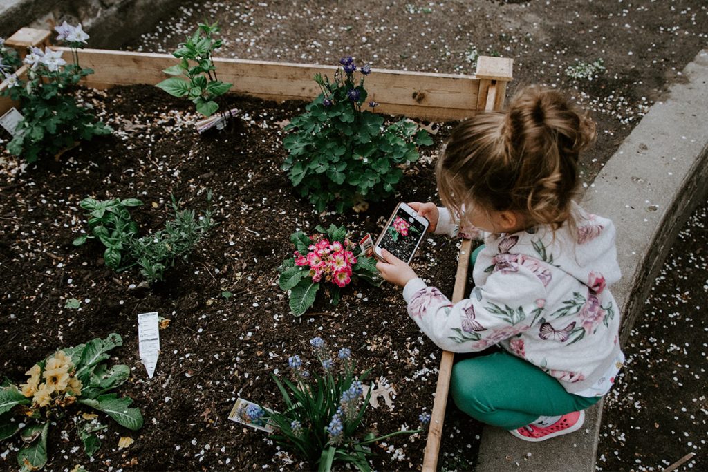 Little girl taking a picture of a Garden Bed