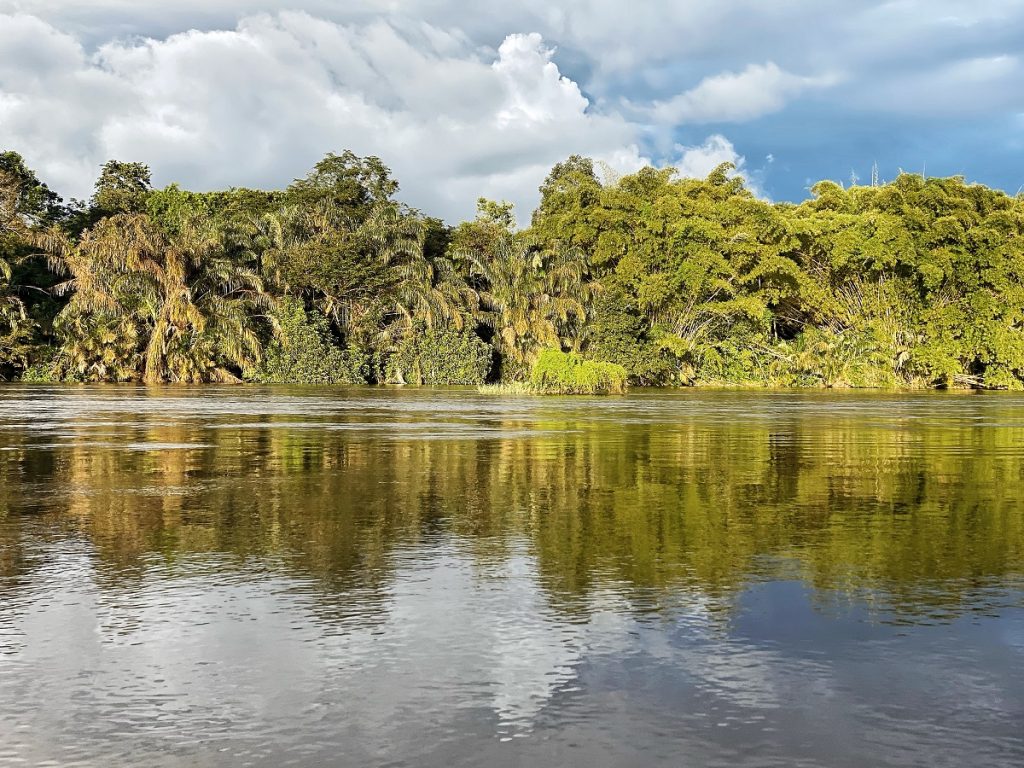 SierraLeone WildlifeViewing