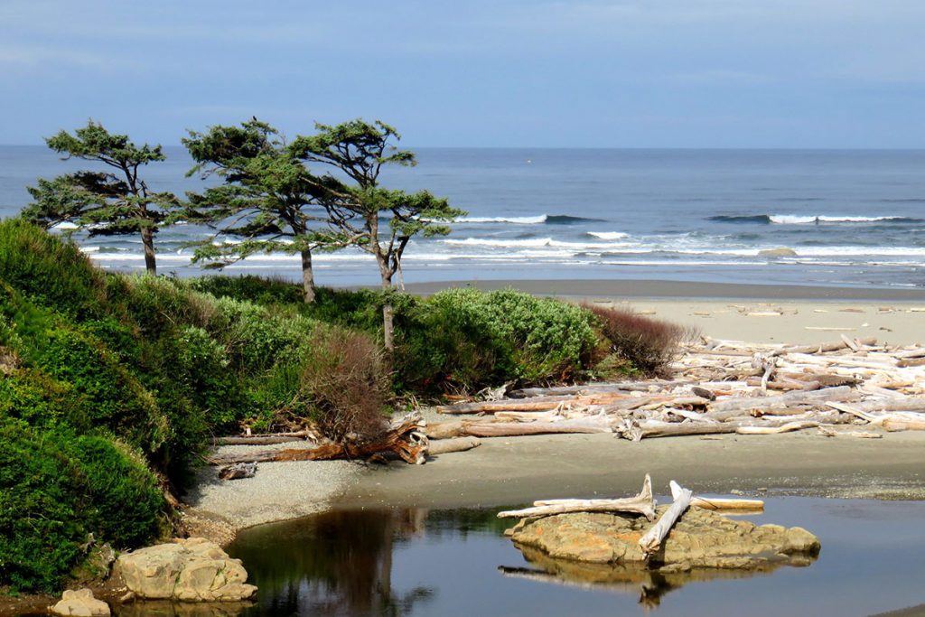 Windy day at the sand beach with trees on the left