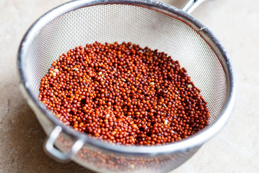 Broccoli sprouting seeds in a strainer