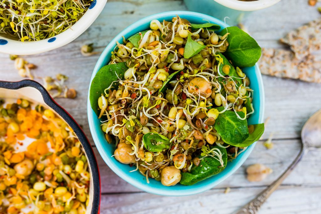 Blue Bowl With with fried sprouts and fresh broccoli sprouts